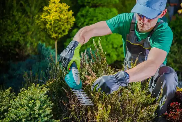 landscaping services Estherwood